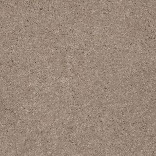 Martha Stewart Living Elmsworth   Color Caraway Seed 6 in. x 9 in. Take Home Carpet Sample MS 484249