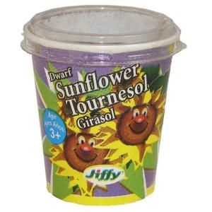 Jiffy Kids Cups Dwarf Sunflower Seed Starter Kit 5944