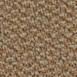 TrafficMASTER After Hours Prairie 12 ft. Carpet 6803 6200 1200 AB