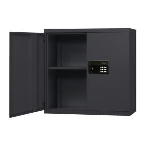 Sandusky 30 in. L x 12 in. D x 30 in. H Wall Steel Cabinet in Black KDEW3012 09