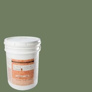 YOLO Colorhouse 5 gal. Glass .05 Flat Interior Paint 541354