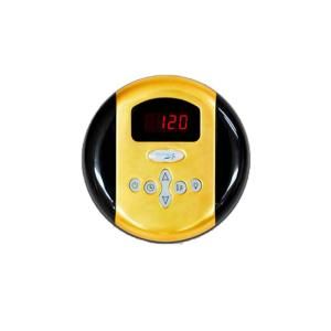 SteamSpa Programmable Steam Bath Generator Control Panel with Time and Temperature Presents in Polished Gold G SC 200 PG
