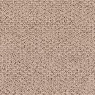 SoftSpring Marvelous   Color Tender Taupe 12 ft. Carpet 0374D 34 12