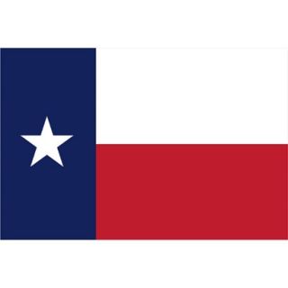 Texas State Flag   4 x 6