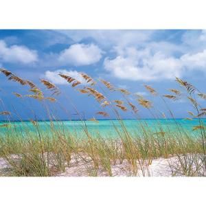 National Geographic 100 in. x 145 in. Ocean Breeze Wall Mural 8 515