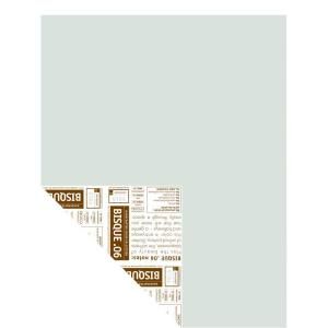 YOLO Colorhouse 12 in. x 16 in. Bisque .06 Pre Painted Big Chip Sample 224162