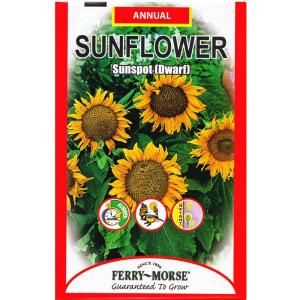 Ferry Morse Sunspot Dwarf Sunflower Seed 1155