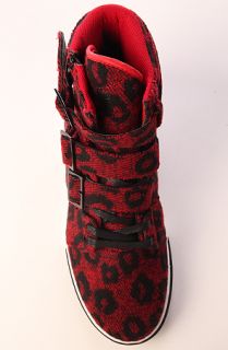 Radii STRAIGHT JACKET VLC IN RED LEOPARD