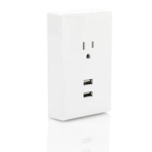 CE TECH USB Wall Plate Charger HDWP2UW