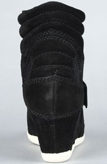 Ash Shoes The Biba Sneaker in Black Calf Suede