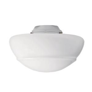 Hunter Vista Replacement Ceiling Fan Globe Light Fixture DISCONTINUED 26414