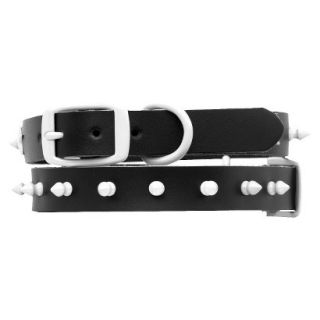 Platinum Pets Black Genuine Leather Dog Collar with Spikes   White (17 20)