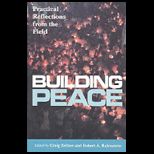 Building Peace Practical Reflections from the Field