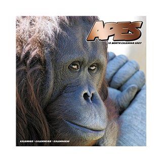 Apes 2007 Wall Calendar Pet Prints INC. 9781846621277 Books