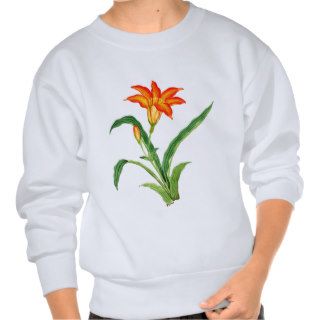 Beautiful Flower ~ Vintage Japanese Art Pull Over Sweatshirt