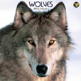 Wolves   2014 Calendar   Wall Calendars