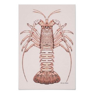 Lobster Poster ~ Rock Lobster