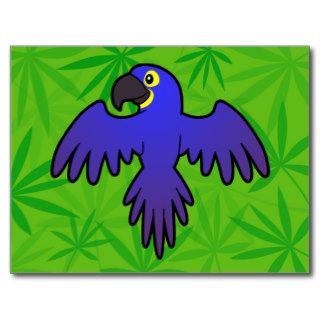 Cartoon Parrot (hyacinth macaw) Post Cards