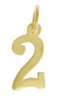 14k Gold Large recovery/ Number Pendant Year 2 Jewelry