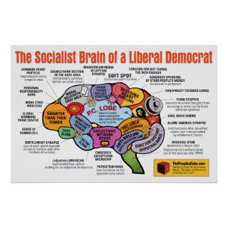 Brain Map   Socialist Democrat Posters