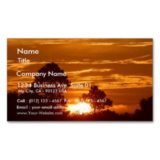 Sunrise In Louisiana Business Cards