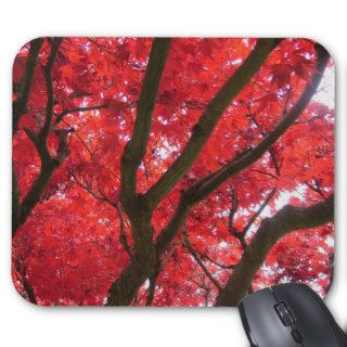 fall leaves,yellow,red, maple, tree mousepad