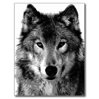 Black & White Wolf Portrait Postcard