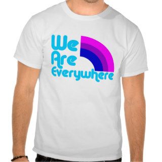 We Are Everywhere Bi Pride T Shirt