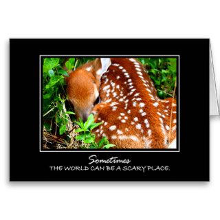 Baby Deer Card
