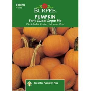 Burpee Pumpkin Early Sweet Sugar Pie Seed 52289