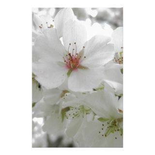 White Cherry Blossoms Sakura Flowers Floral Photo Customized Stationery