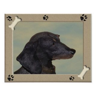 Black and Tan Dachshund Posters
