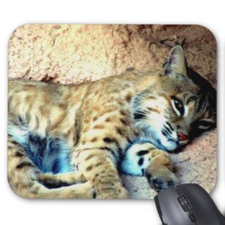 Bobcat Habitat Mouse Pad