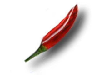 Tabasco Capsicum frutescens Chili Samen Küche & Haushalt