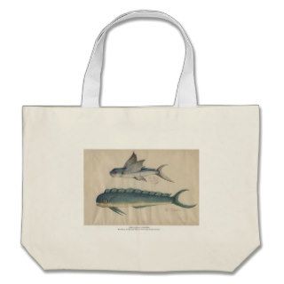 Flying fish and dolphinfish watercolors, 18th cent bags