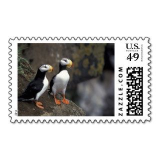 NA, USA, Alaska, Bering Sea, Pribilofs, St. 2 Postage Stamp