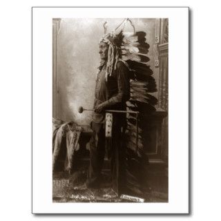 Chief Sitting Bull   Vintage Postcard