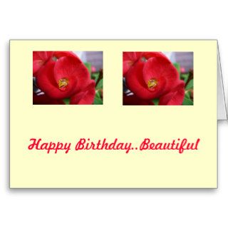 Happy BirthdayBeautiful Greeting Card