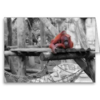 Mother and Baby Orangutan Greeting Card