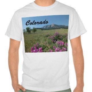 Boulder Colorado Chautauqua Park T Shirt Shirt