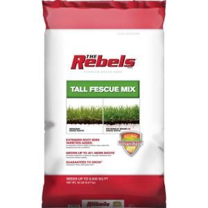 The Rebels 20 lb. Tall Fescue Grass Seed Mix 147858