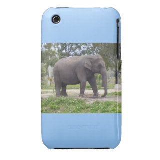 ELEPHANT STANDING ALONE iPhone 3 COVERS