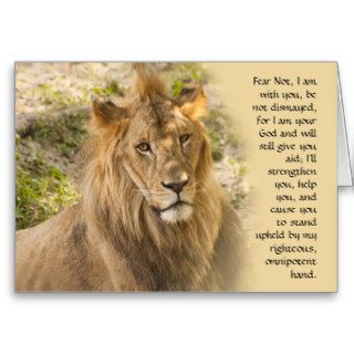 Lion Get Well Card