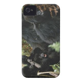 A group of mountain gorillas, Rwanda. Case Mate iPhone 4 Cases