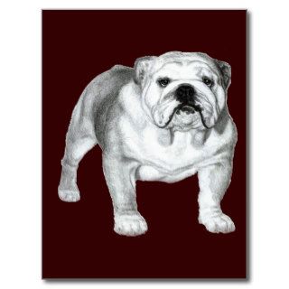 Bulldog Painting Post Cards