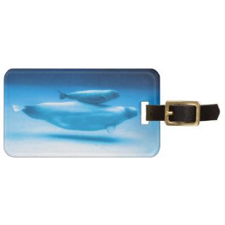 Beluga Mother and Baby Luggage Tag