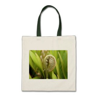 New Beginning for the Cardboard Palm Tote Bags