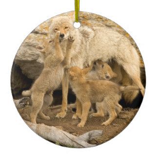 Coyote Family Forehand Christmas Ornament
