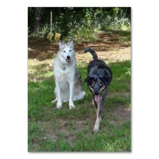 Ausky Dog and Catahoula Leopard Dog Friends Business Cards