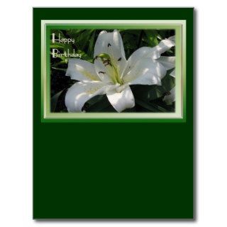 White Lily Happy Birthday Post Card